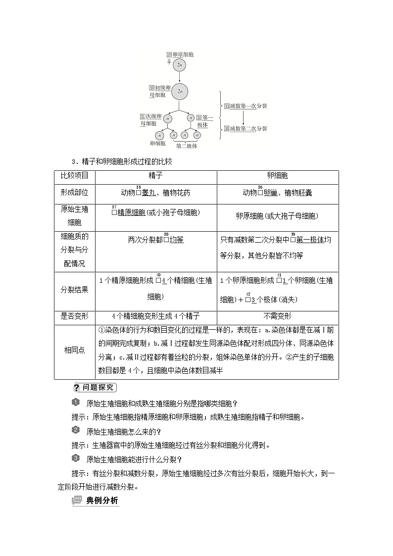 2023新教材高中生物第二章染色体与遗传第一节染色体通过配子传递给子代第二课时精子与卵细胞的产生和受精作用学案浙科版必修2第2页