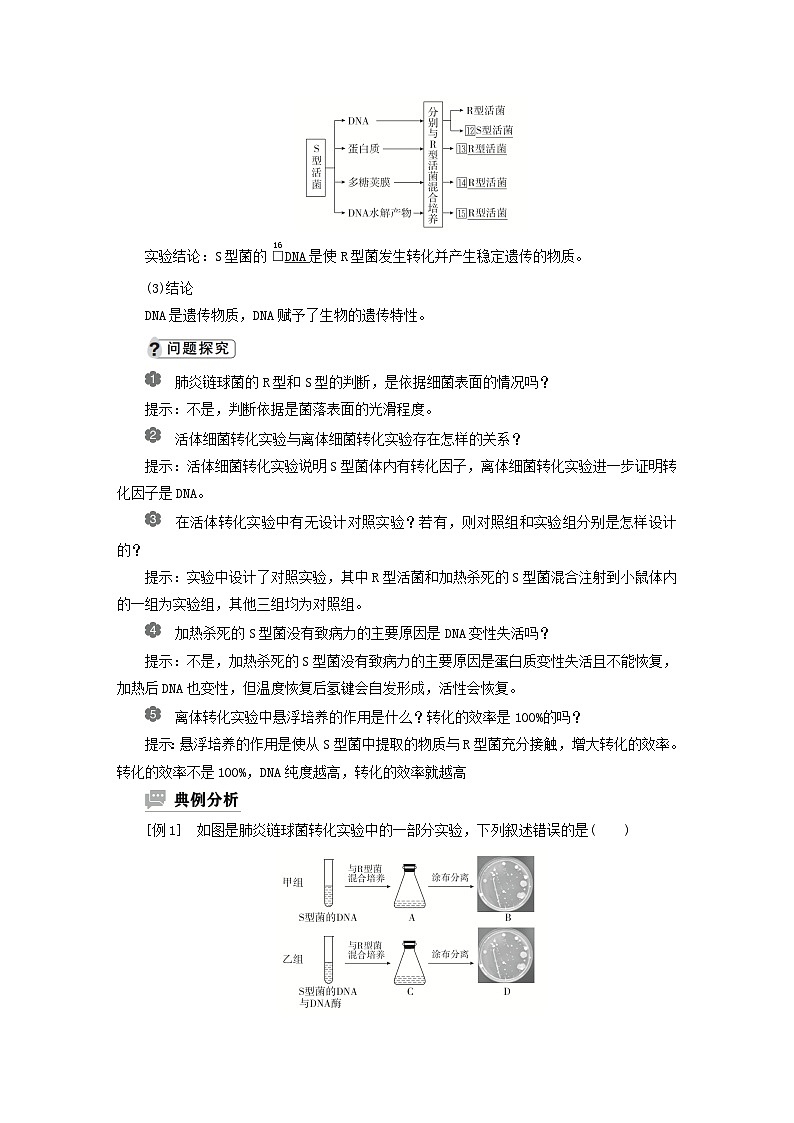 2023新教材高中生物第三章遗传的分子基础第一节核酸是遗传物质学案浙科版必修202