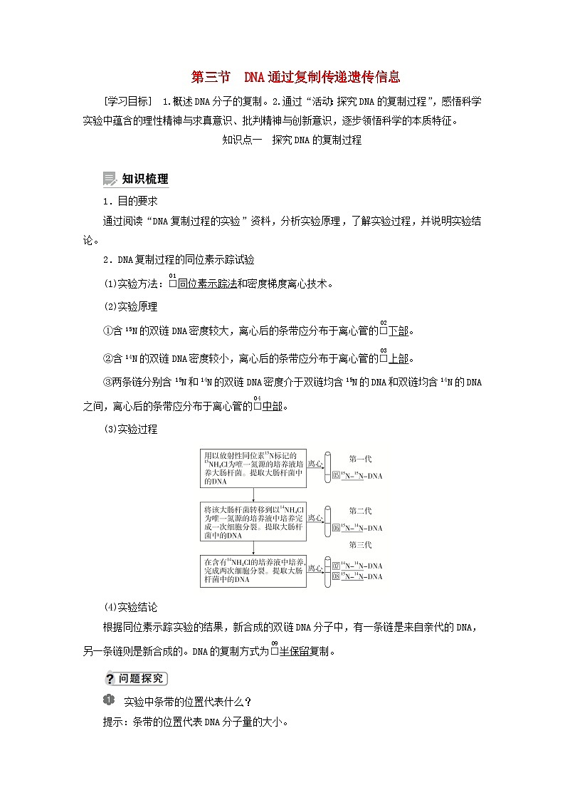 2023新教材高中生物第三章遗传的分子基础第三节DNA通过复制传递遗传信息学案浙科版必修201