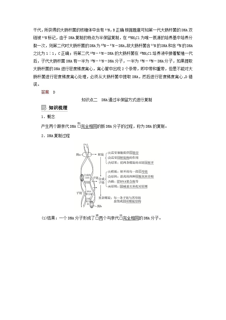 2023新教材高中生物第三章遗传的分子基础第三节DNA通过复制传递遗传信息学案浙科版必修203