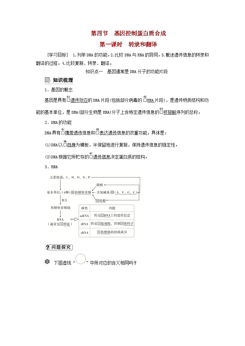 2023新教材高中生物第三章遗传的分子基础第四节基因控制蛋白质合成第一课时转录和翻译学案浙科版必修201