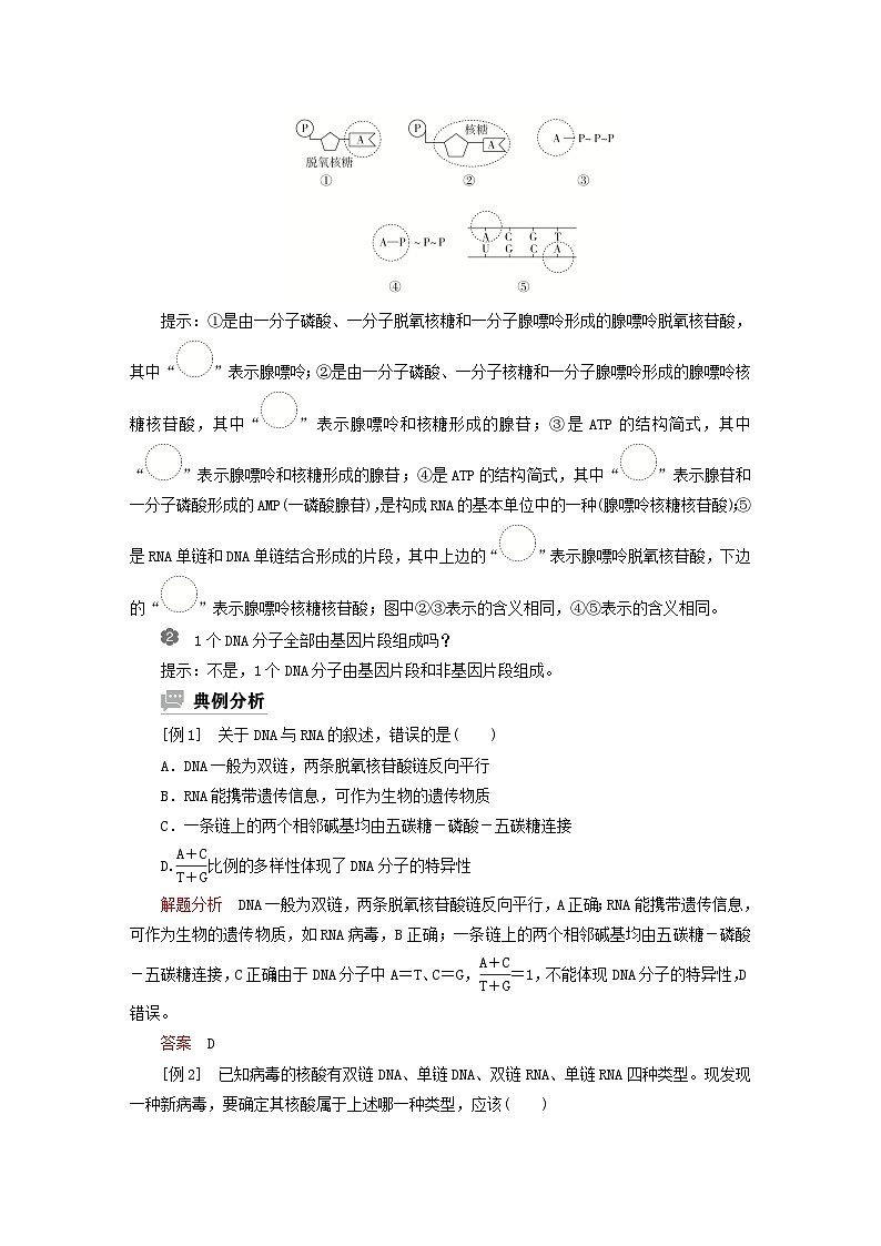 2023新教材高中生物第三章遗传的分子基础第四节基因控制蛋白质合成第一课时转录和翻译学案浙科版必修202
