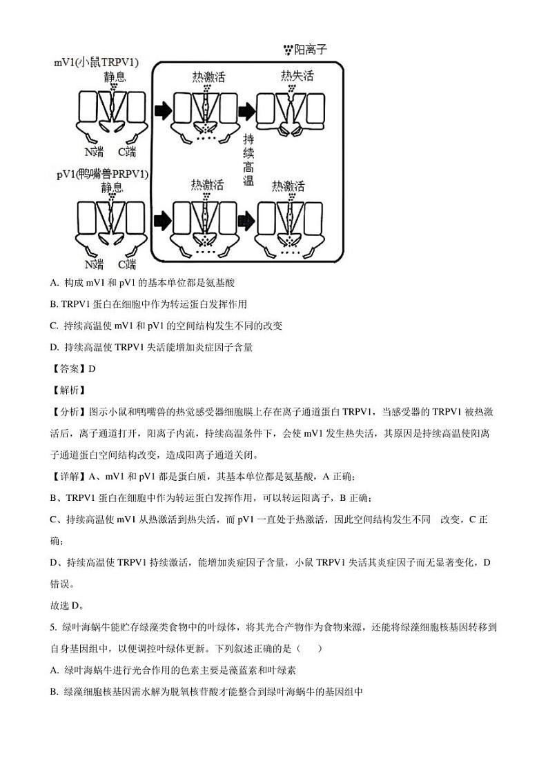 广东省东莞市2022-2023学年高二7月期末生物试题（解析版）03
