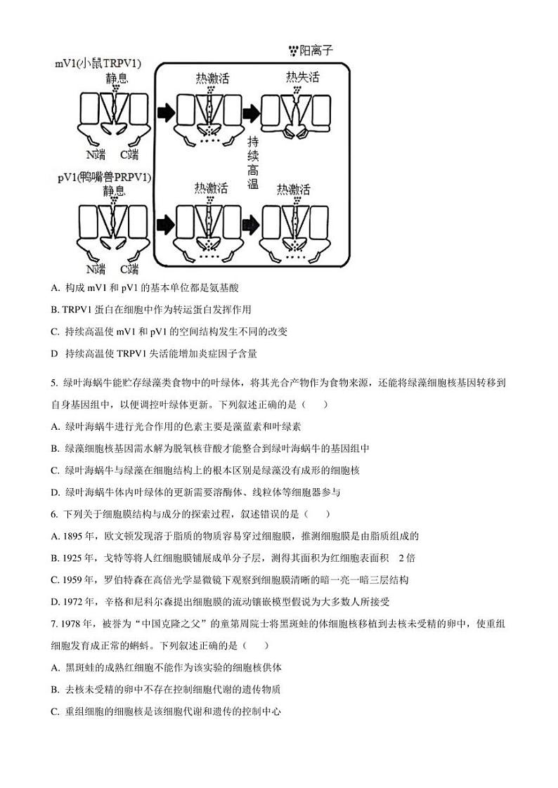 广东省东莞市2022-2023学年高二7月期末生物试题（原卷版）02