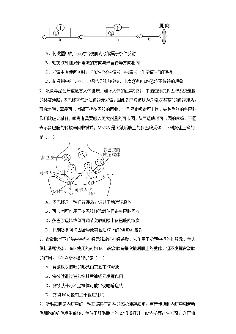 湖南省洞口县第二中学2023-2024学年高二上学期第一次（开学考）月考生物试题第2页