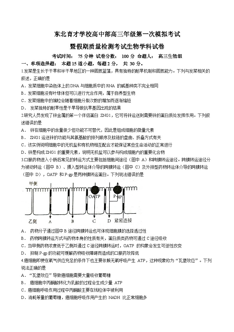辽宁省沈阳市东北育才学校高中部2023—2024学年高三上学期第一次模拟考试生物试题第1页