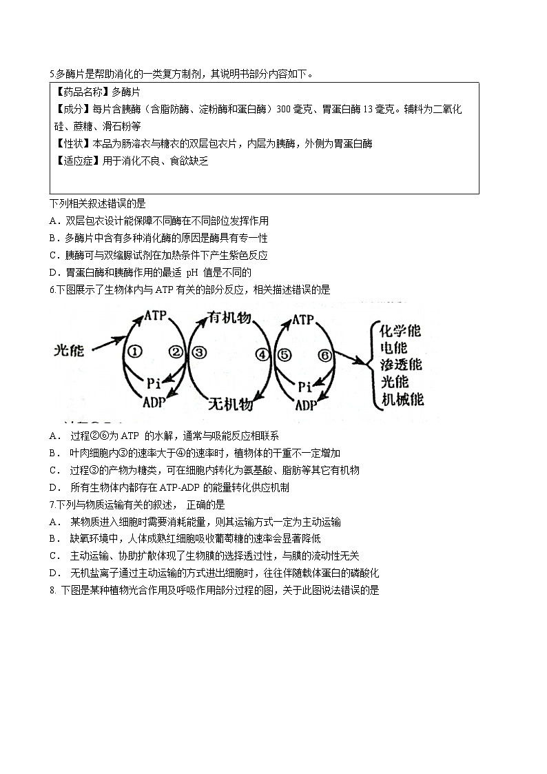辽宁省沈阳市东北育才学校高中部2023—2024学年高三上学期第一次模拟考试生物试题第2页