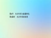 2023新教材高中生物第5章细胞的能量供应和利用第4节光合作用与能量转化第2课时光合作用的原理作业课件新人教版必修1