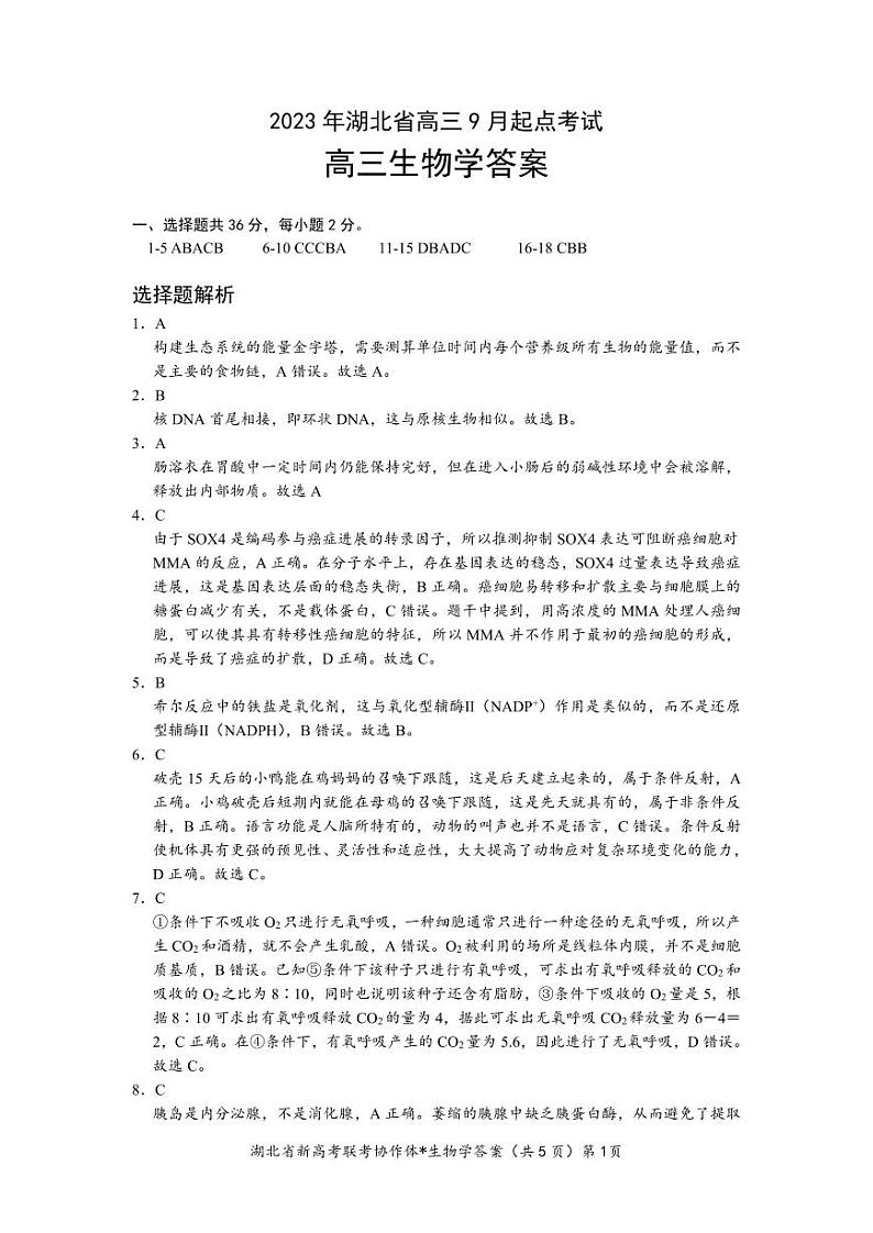 2024孝感重点高中教科研协作体高三上学期开学考试生物试题含答案01
