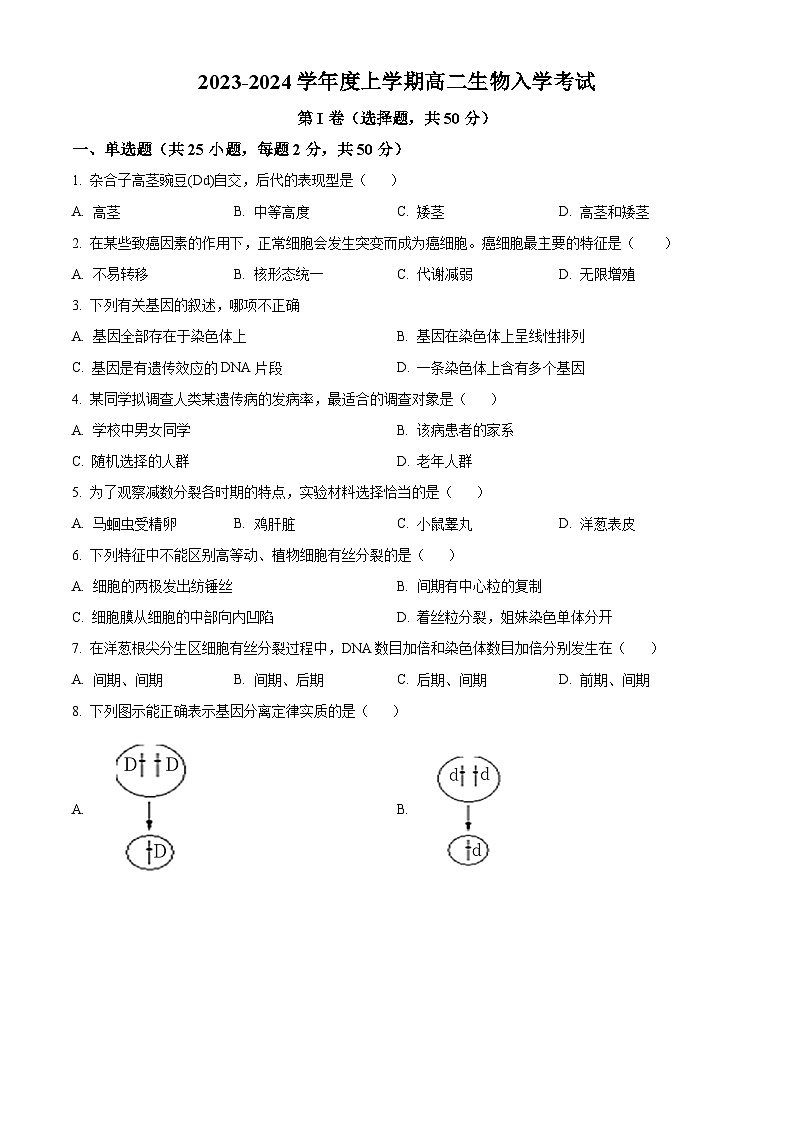 2024乐山沫若中学高二上学期开学考试生物试题含解析01