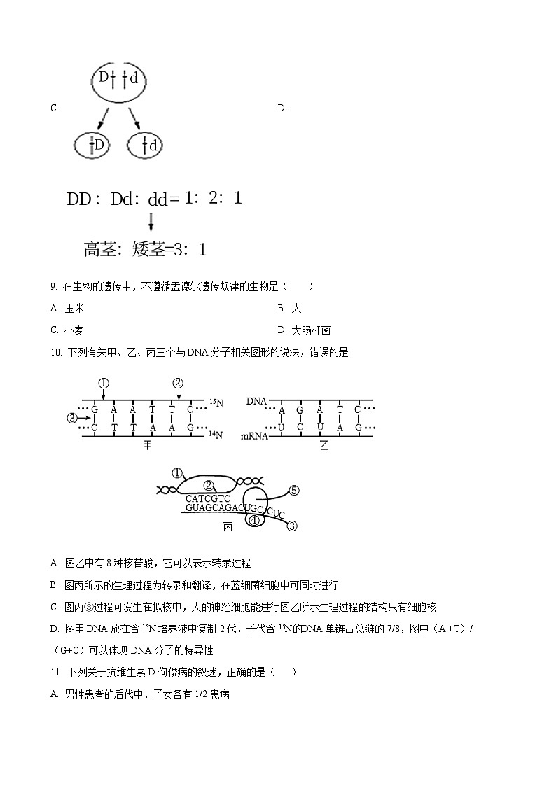 2024乐山沫若中学高二上学期开学考试生物试题含解析02