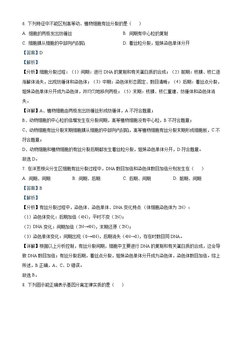 2024乐山沫若中学高二上学期开学考试生物试题含解析03