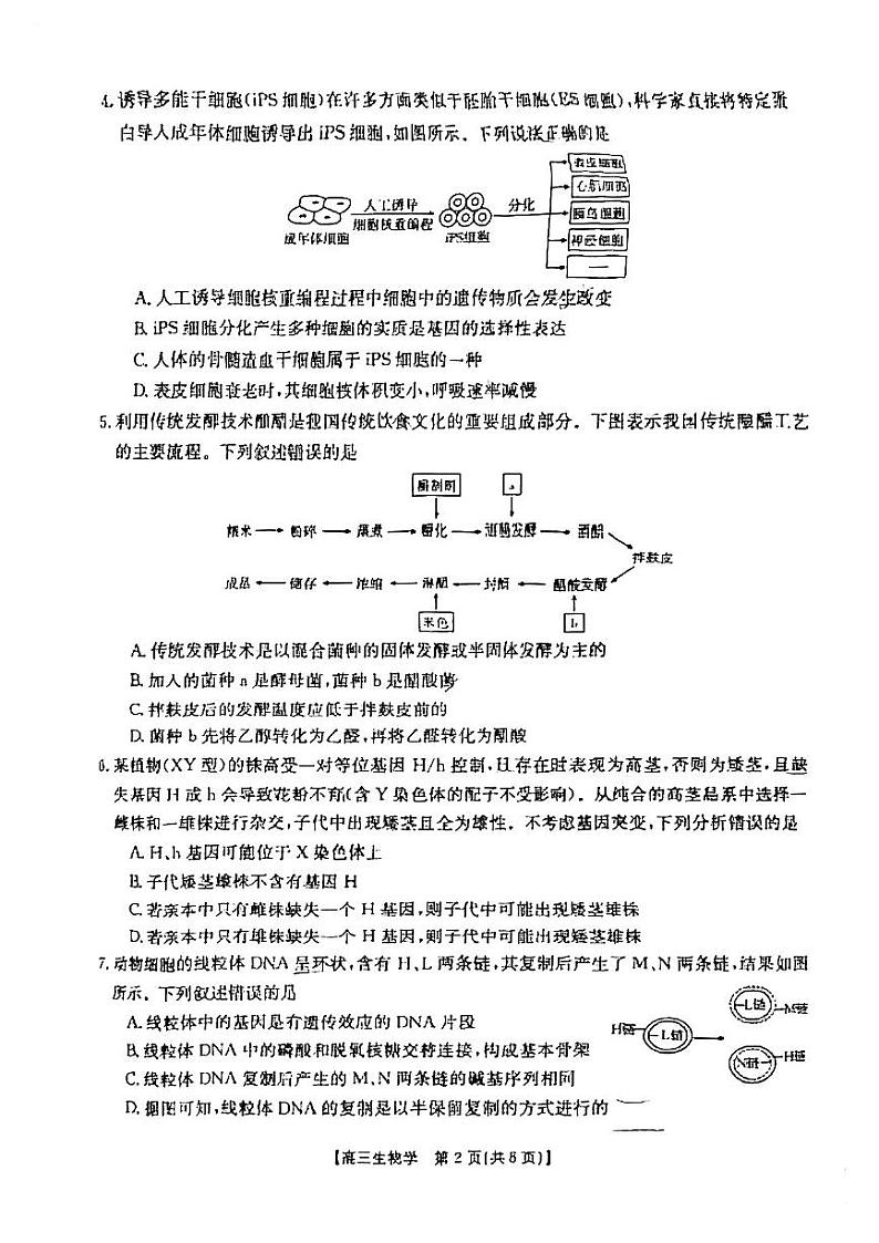 2024届大庆市高三一模生物试卷含答案解析02