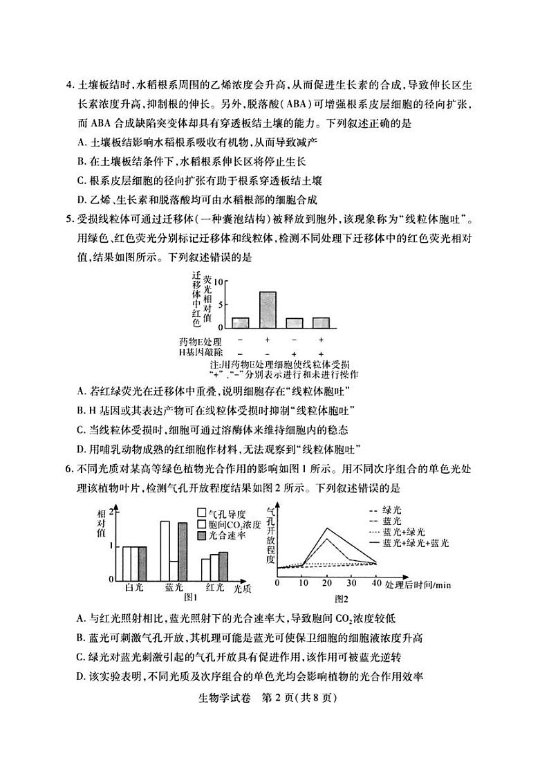 2024届武汉市高三九调生物试卷第2页