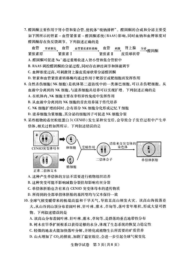 2024届武汉市高三九调生物试卷第3页
