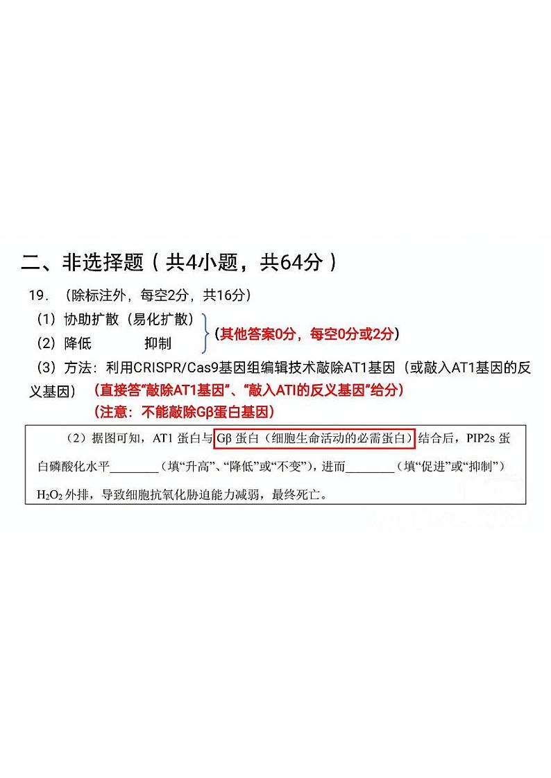 2024届武汉市高三九调生物答案第2页