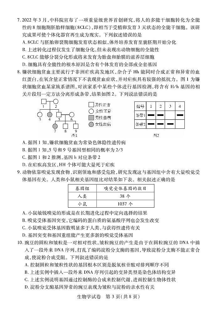 湖北省宜荆荆恩2023-2024学年高三上学期开学考试生物试题03
