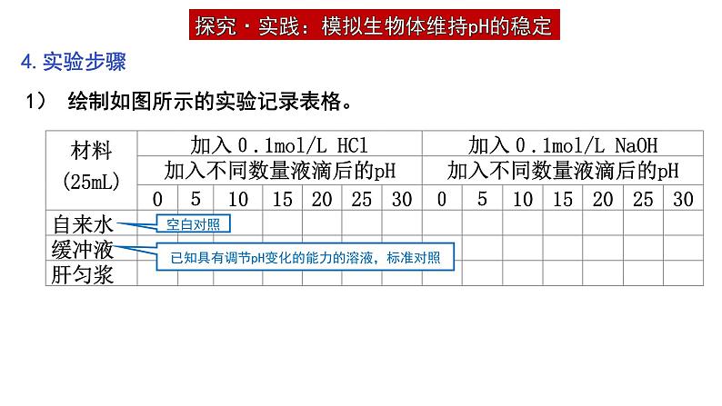 1.2 内环境的稳态 课件高中生物选择性必修一08