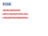 2.1 神经调节的结构基础 课件高中生物选择性必修一