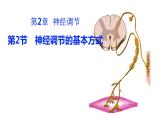 2.2 神经调节的基本方式 课件高中生物选择性必修一