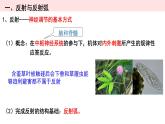 2.2 神经调节的基本方式 课件高中生物选择性必修一