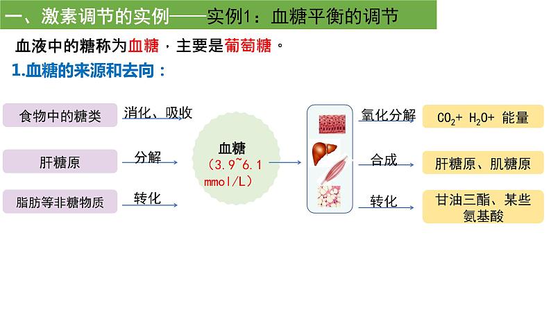 3.2激素调节的过程 课件高中生物选择性必修一第5页