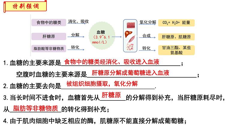 3.2激素调节的过程 课件高中生物选择性必修一第6页