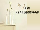 3.3 体液调节与神经调节的关系 课件高中生物选择性必修一