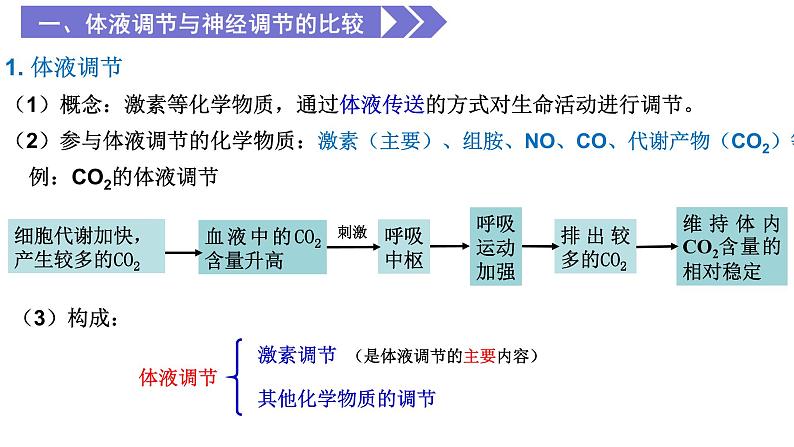 3.3 体液调节与神经调节的关系 课件高中生物选择性必修一06