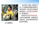 4.1免疫系统的组成和功能 课件高中生物选择性必修一