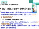 4.1免疫系统的组成和功能 课件高中生物选择性必修一