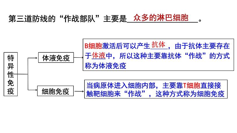 4.2.特异性免疫 课件高中生物选择性必修一第8页