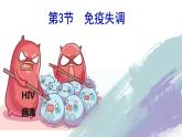 4.3免疫失调 课件高中生物选择性必修一