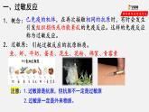 4.3免疫失调 课件高中生物选择性必修一