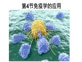 4.4 免疫学的应用 课件高中生物选择性必修一