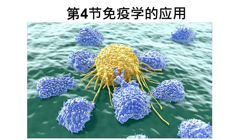 4.4 免疫学的应用 课件高中生物选择性必修一第1页