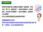 4.4 免疫学的应用 课件高中生物选择性必修一