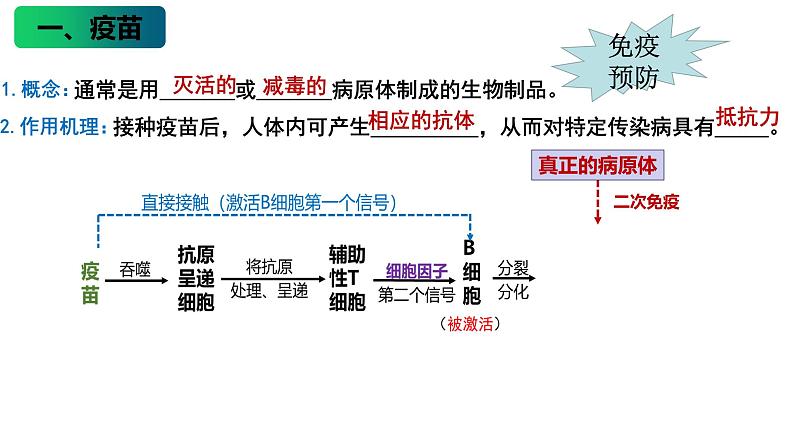 4.4 免疫学的应用 课件高中生物选择性必修一第6页