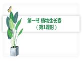 5.1植物生长素（1） 课件高中生物选择性必修一