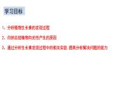5.1植物生长素（1） 课件高中生物选择性必修一