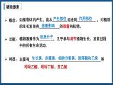 5.1植物生长素（2） 课件高中生物选择性必修一