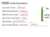5.1植物生长素（2） 课件高中生物选择性必修一