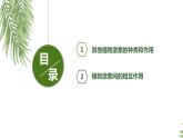 5.2其他植物激素 课件高中生物选择性必修一