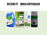 5.3植物生长调节剂的应用 课件高中生物选择性必修一