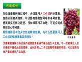 5.3植物生长调节剂的应用 课件高中生物选择性必修一