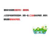 5.3植物生长调节剂的应用 课件高中生物选择性必修一