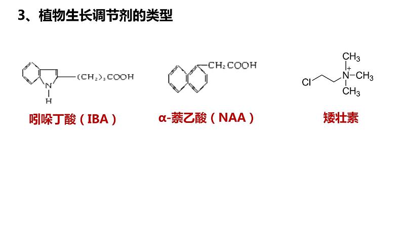 5.3植物生长调节剂的应用 课件高中生物选择性必修一第7页