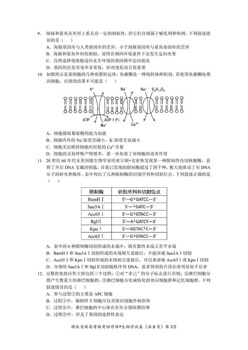 湖北省2023-2024学年新高考联考协作体高三9月起点考试生物试题PDF版无答案（可编辑）第3页