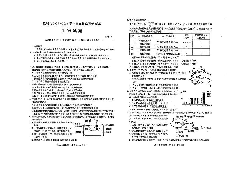 2024运城高三上学期摸底调研测试生物PDF版含答案01
