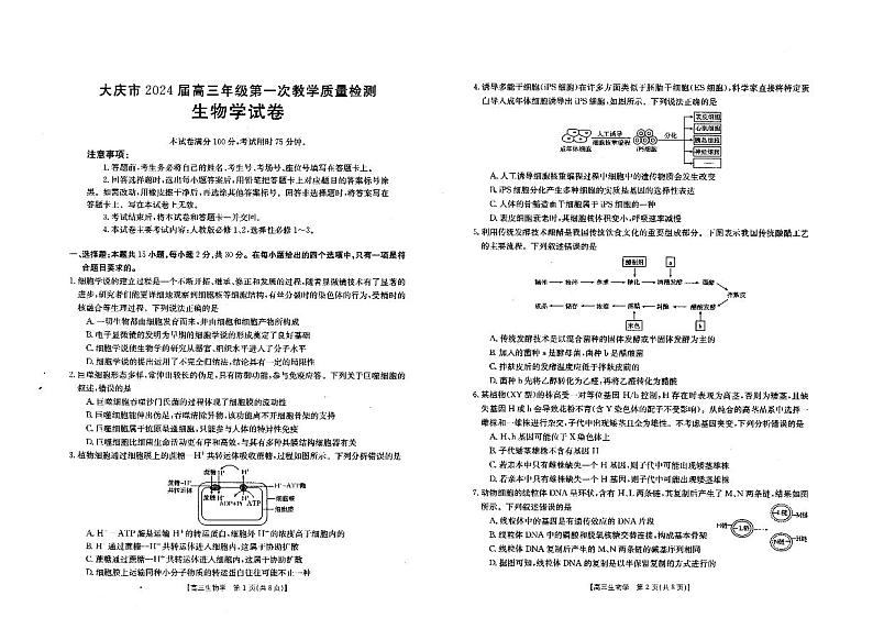 2024省大庆高三上学期第一次教学质量检测生物PDF版含答案01